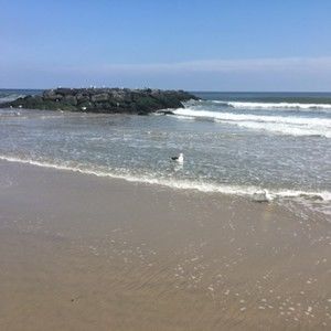 Meet your Posher, Elaine